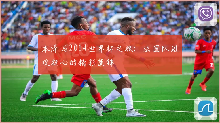 本泽马2014世界杯之旅：法国队进攻核心的精彩集锦